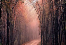 2010年南非世界杯全部比赛的战绩比分是怎样的?