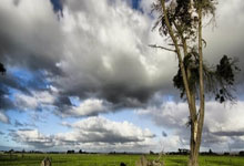 竞彩足球直播500完整版是什么？该如何正确使用它？