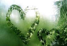 C罗到底是前锋还是中锋?